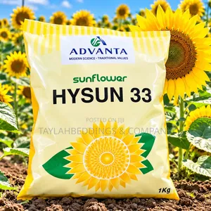 Advanta HYSUN 33 Hybrid Sunflower Seeds – 1kg Pack