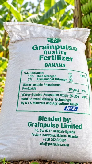 Grainpulse Quality Banana Fertilizer – NPK 19:8:28
