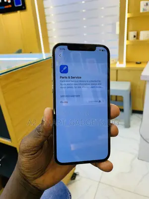 Apple iPhone 12 Pro 128 GB Gray