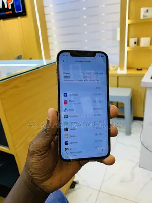 Apple iPhone 12 Pro 128 GB Gray