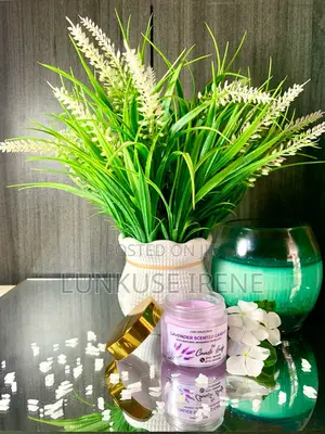 Mosquito and Housefly Scented Candles