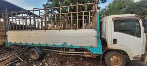 Isuzu Truck 2020 White