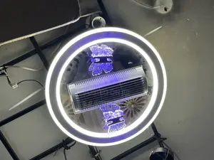Acc Fun Ceiling Light