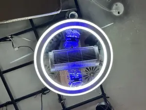 Acc Fun Ceiling Light