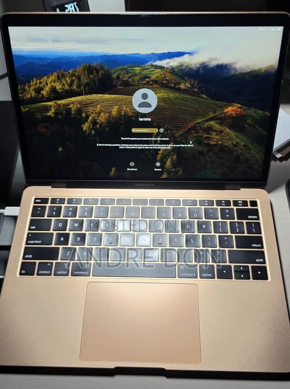 Laptop Apple MacBook Pro 2019 8GB Intel Core i5 SSD 128GB