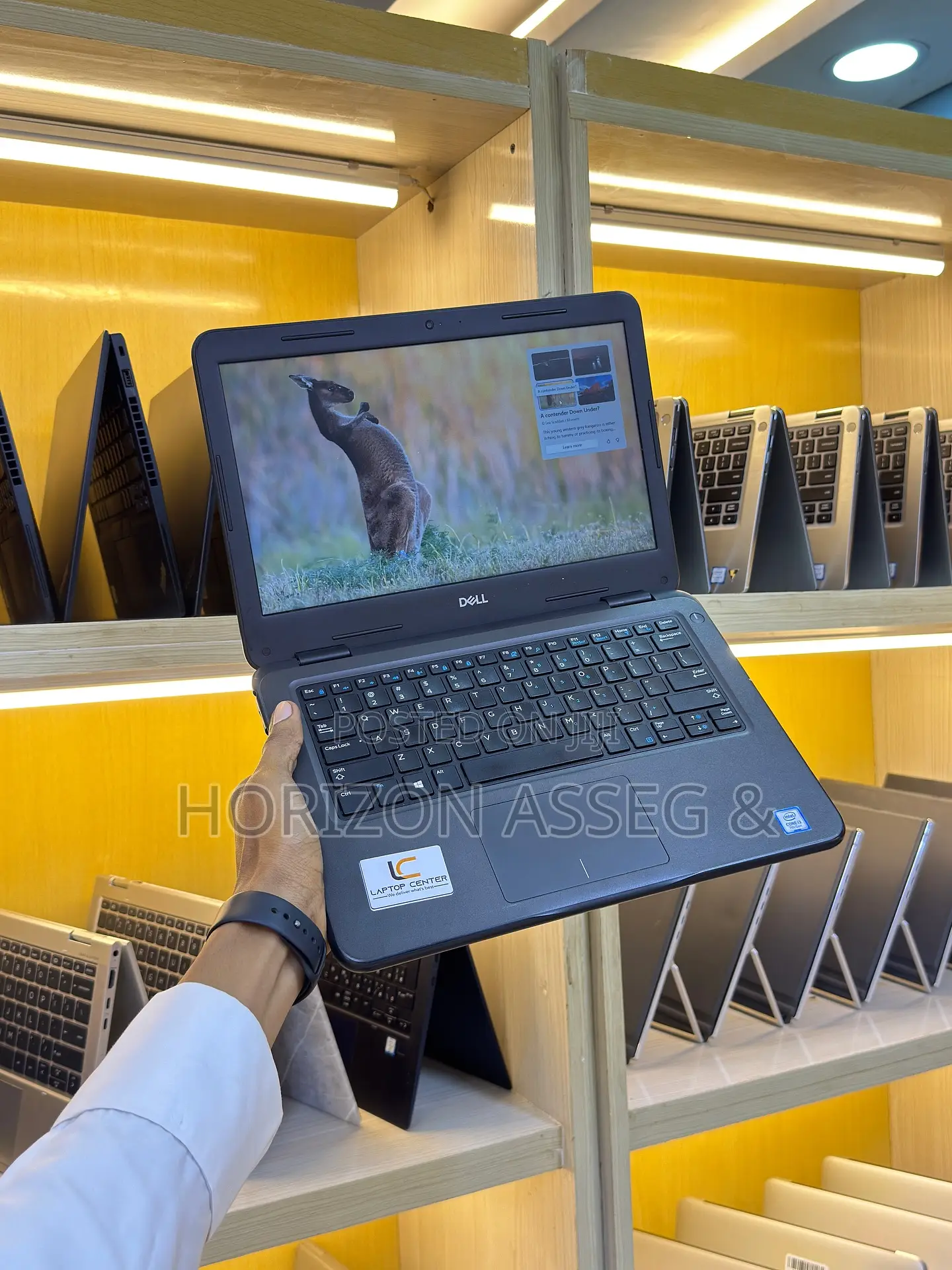 New Laptop Dell Latitude 3300 4GB Intel Core i5 SSD 256GB