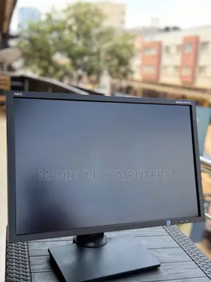 24 Inch Screen IPs Nec HDMI DP VGA