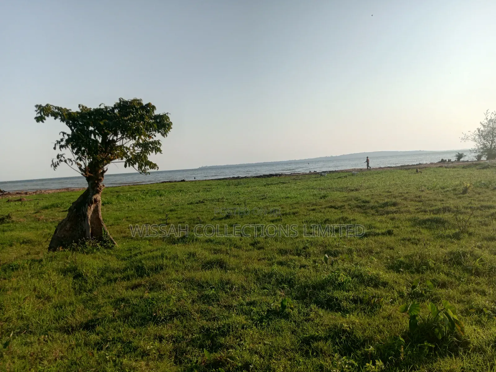 Lake Shore Land
