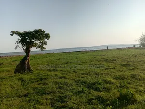 Lake Shore Land
