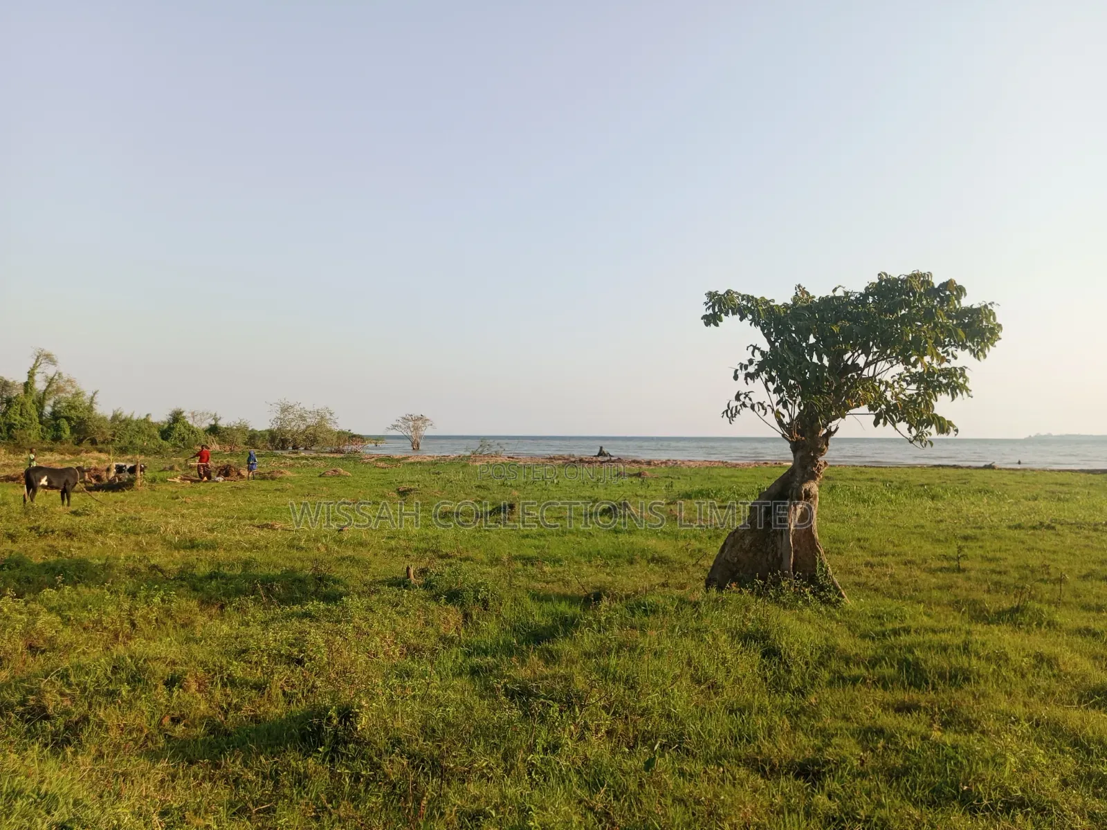 Lake Shore Land