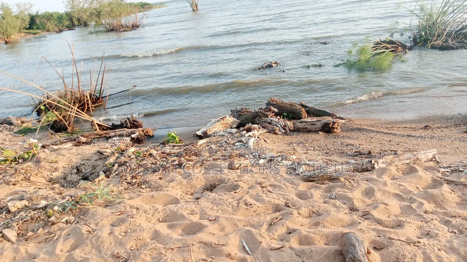 Lake Shore Land