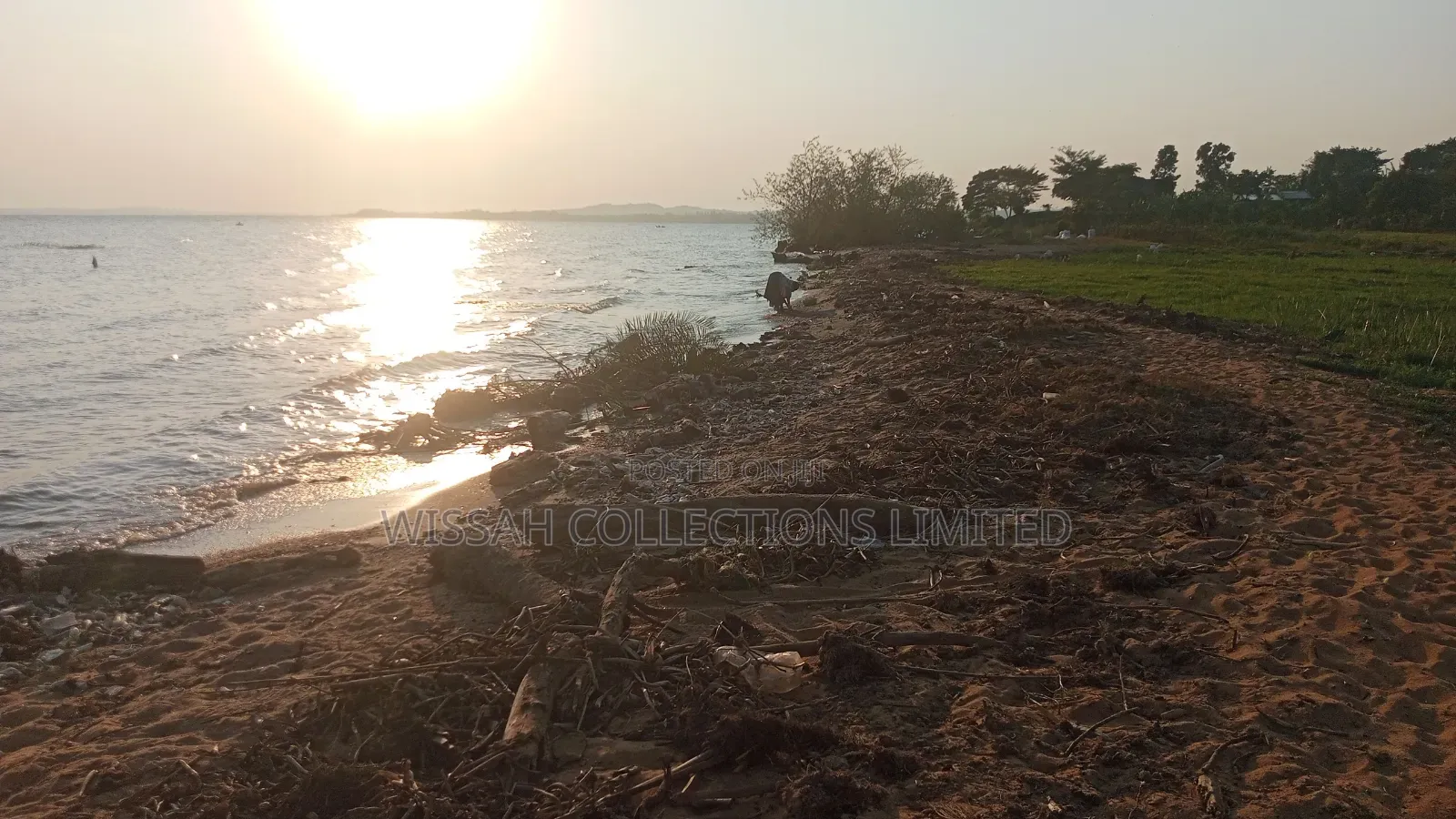 Lake Shore Land