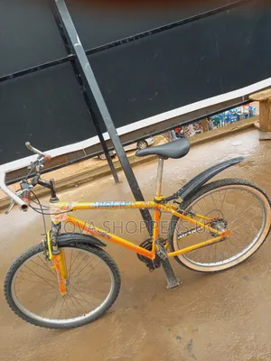 Adult Bicycle