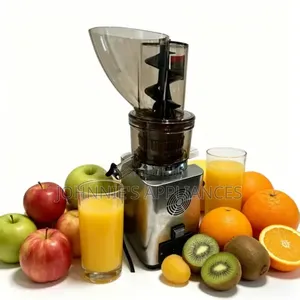 Commercial Slow Juicer Machine With Large Feeding Hopper and Dual