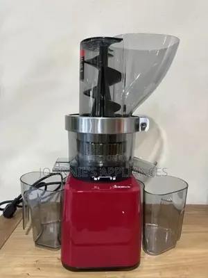 Commercial Slow Juicer Machine With Large Feeding Hopper and Dual