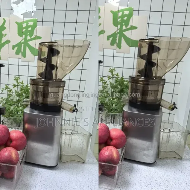Commercial Slow Juicer Machine With Large Feeding Hopper and Dual