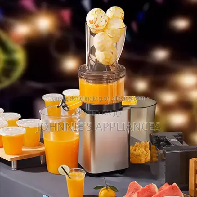 Commercial Slow Juicer Machine With Large Feeding Hopper and Dual