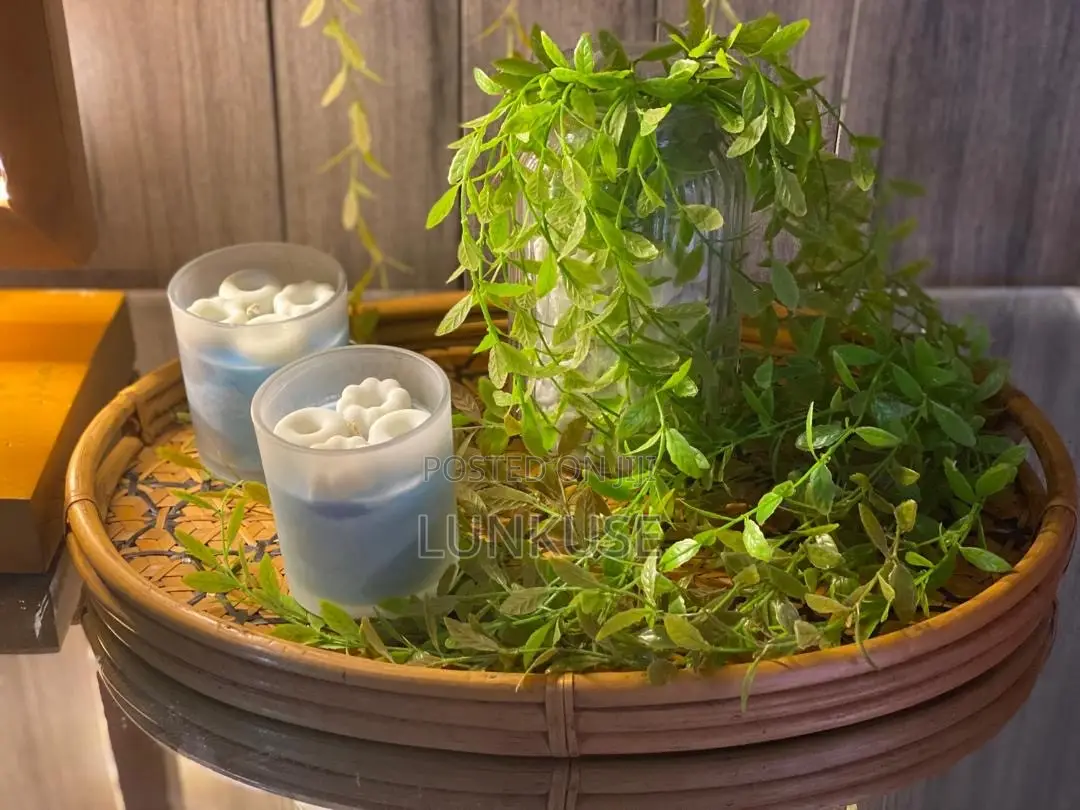 Mosquito and Housefly Scented Candles