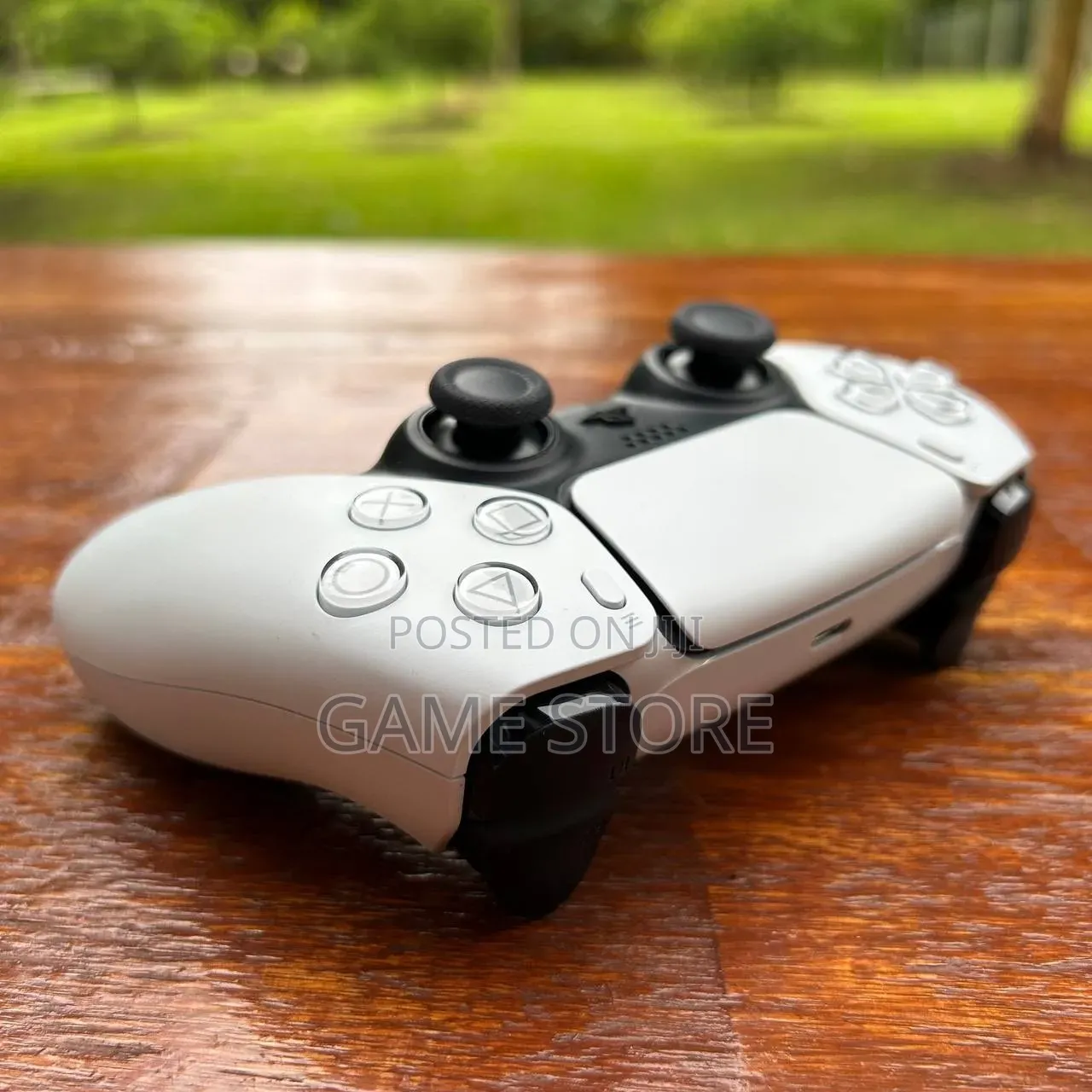 PS5 DualSense Controller – Neat Enough for Your Mother-in-Law!