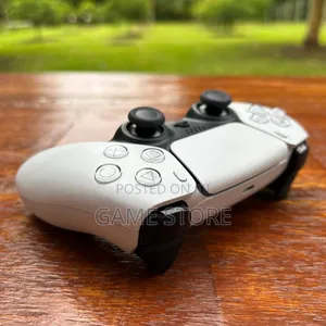 PS5 DualSense Controller – Neat Enough for Your Mother-in-Law!