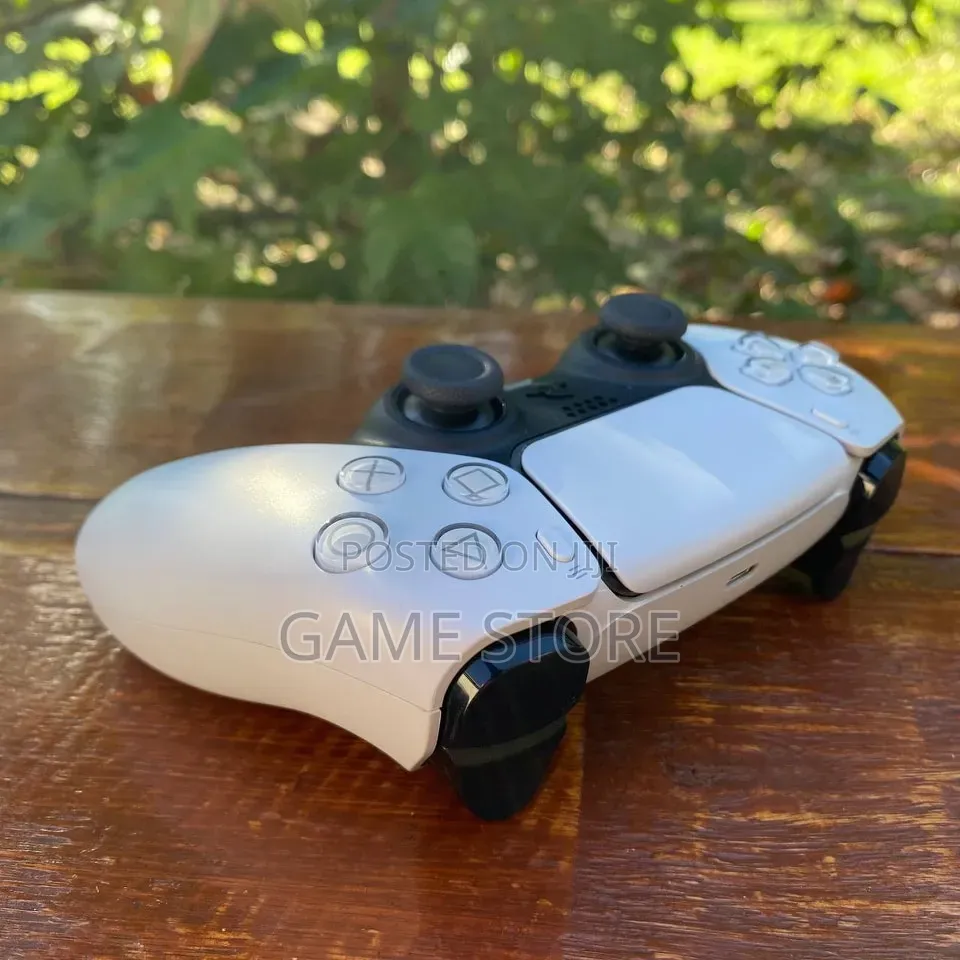 PS5 DualSense Controller – Your Neighbour Will Start Borrowing!