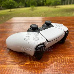 PS5 DualSense Controller – Neat Pad, No Village Stories!