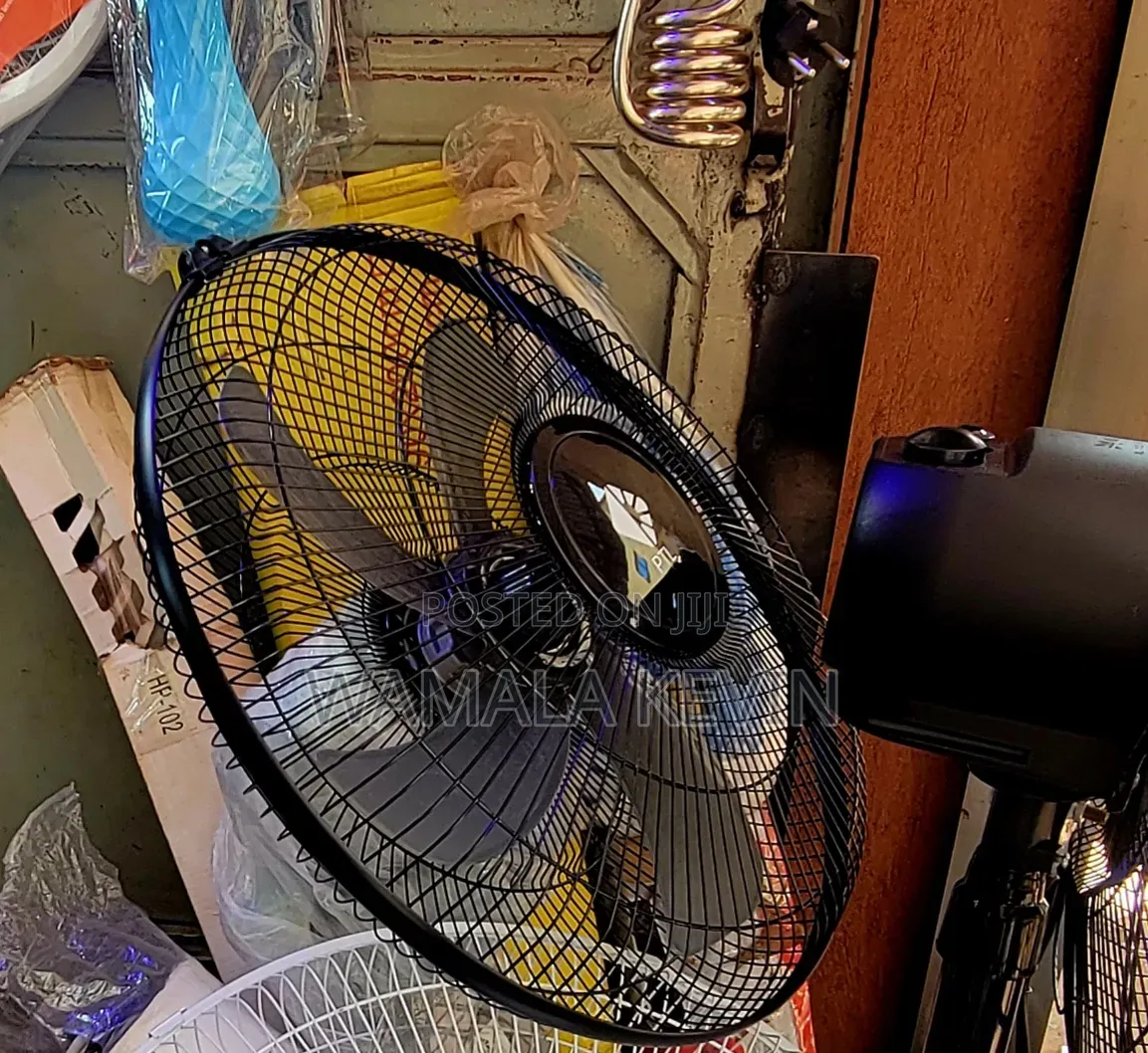 Wall Electric Mounted Fun