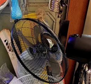 Wall Electric Mounted Fun