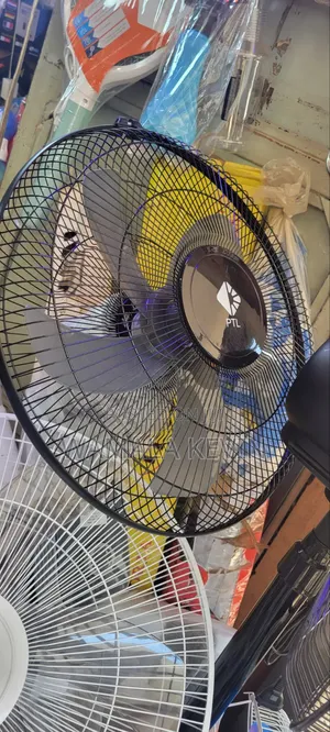 Wall Electric Mounted Fun
