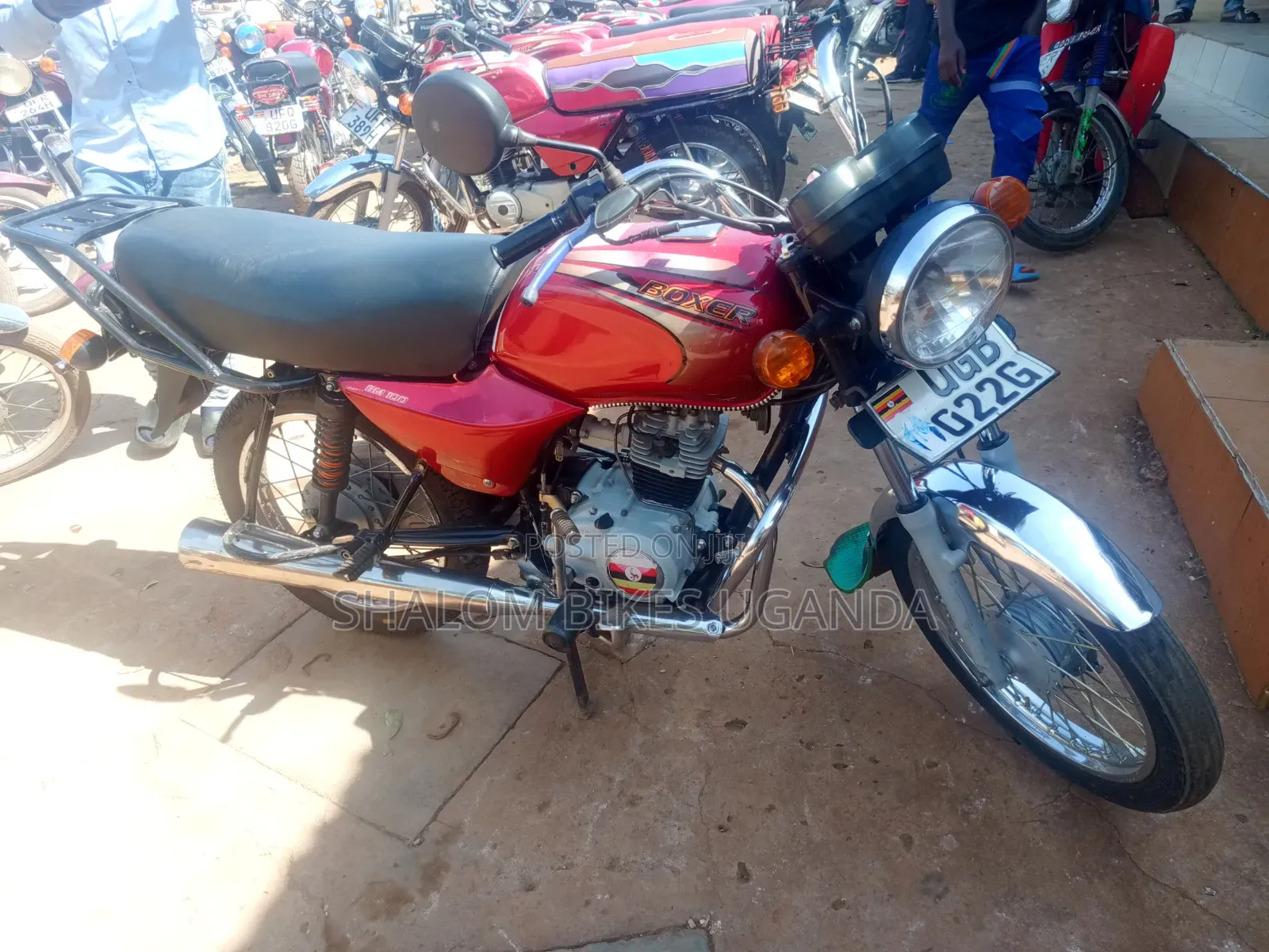 Bajaj Boxer 2024 Red