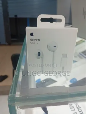 Good Apple Earphones With Obtain Type C Model