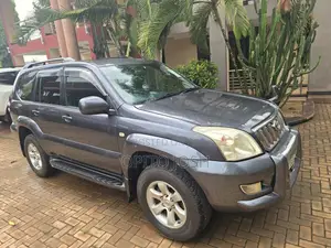 Toyota Land Cruiser Prado 4.0 Petrol TX 2002 Gray