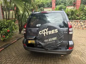 Toyota Land Cruiser Prado 4.0 Petrol TX 2002 Gray