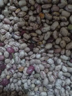 Masavu Beans