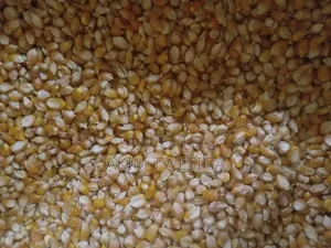 Fresh Popcorn