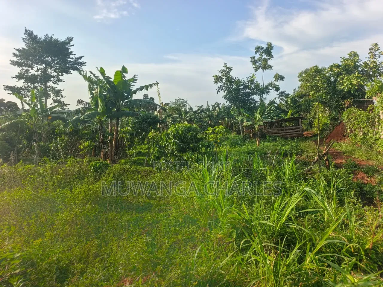 Land on Sale at Zirobwe Kiyiya