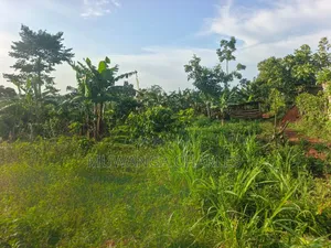 Land on Sale at Zirobwe Kiyiya
