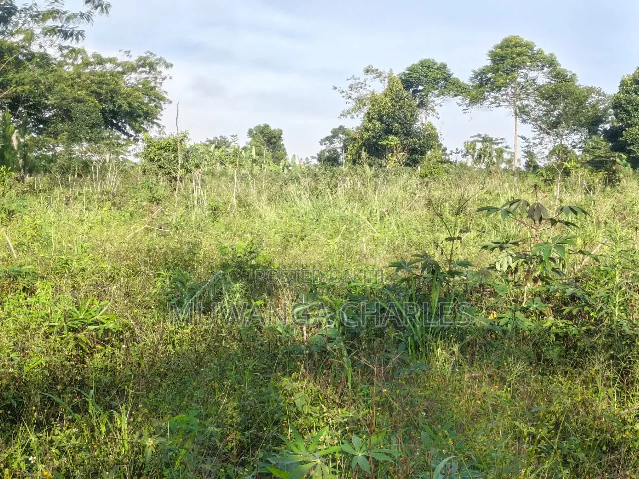 Land on Sale at Zirobwe Kiyiya