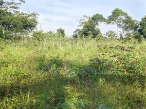 Land on Sale at Zirobwe Kiyiya