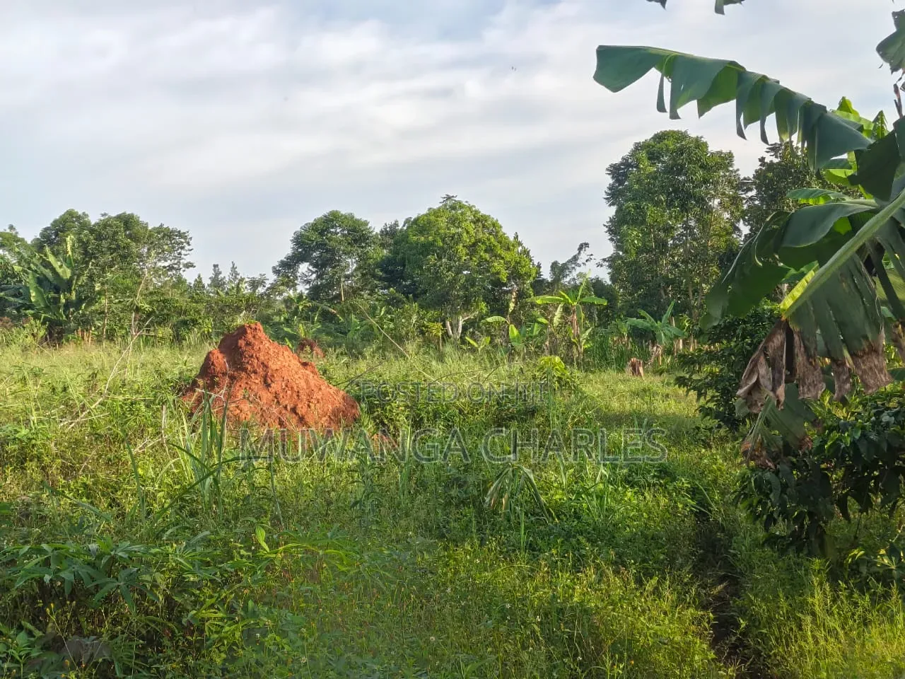 Land on Sale at Zirobwe Kiyiya