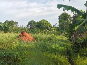 Land on Sale at Zirobwe Kiyiya