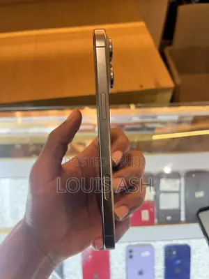 Apple iPhone 16 Pro Max 256 GB Gray