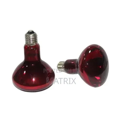 Heat Brooder Bulb for Poultry Brooding 250W Infrared