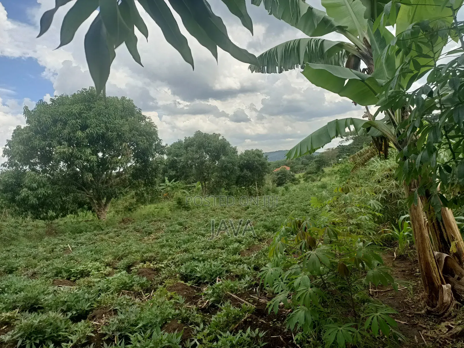 1 Acre of Land