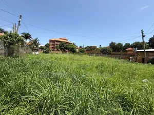20decimals on Sale at Kungu Buwate
