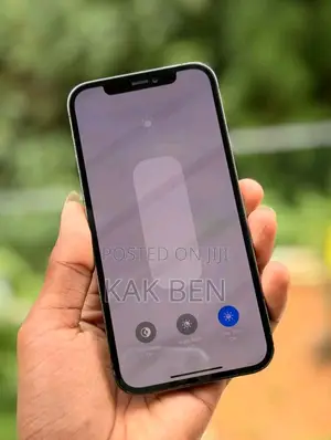New Apple iPhone 13 Pro Max 256 GB Gray