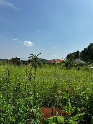 Plot on Sale Matugga Kanyanda