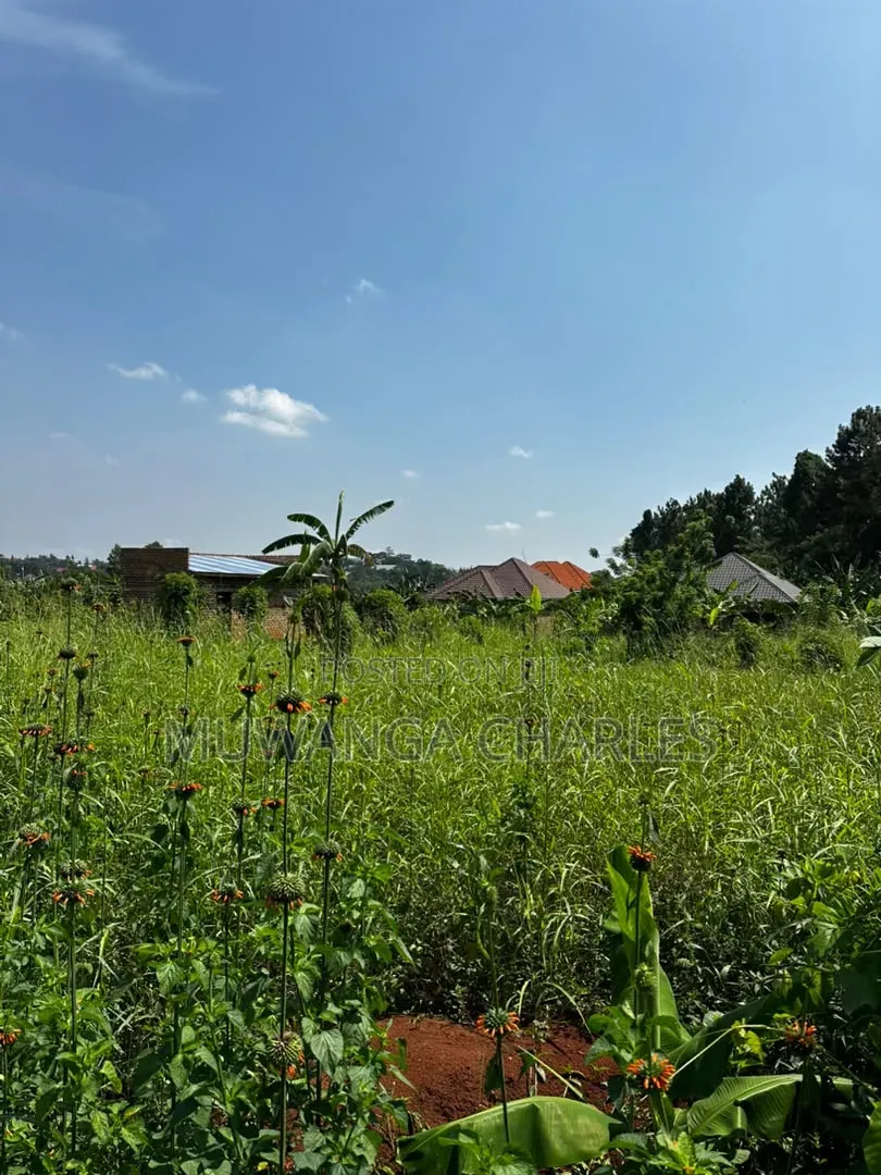 Plot on Sale Matugga Kanyanda