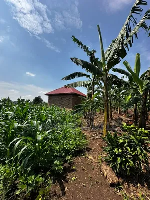 Plot on Sale Matugga Kanyanda