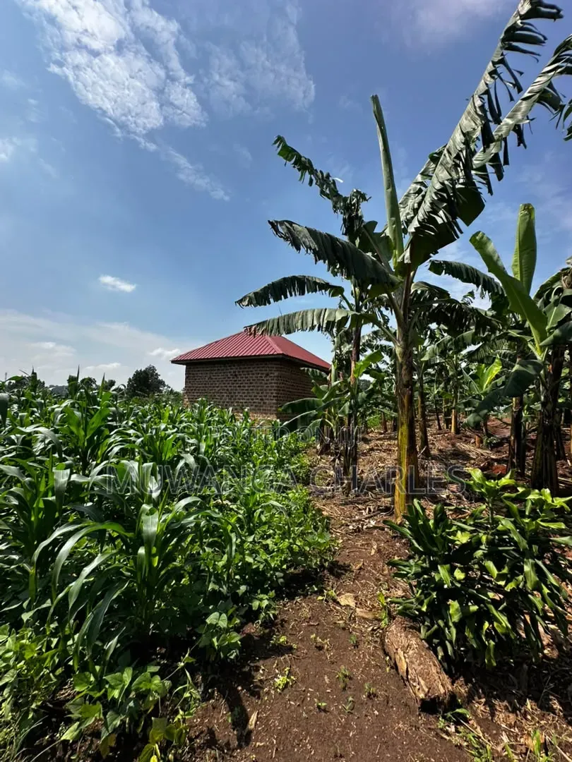 Plot on Sale Matugga Kanyanda